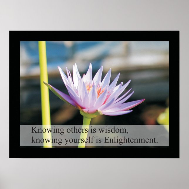 Naturhälsocitat och Ord Poster Lao Tzu (Framsidan)