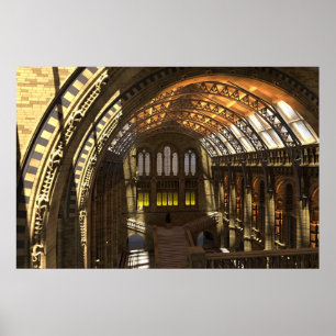 Naturhistoriamuseum Poster