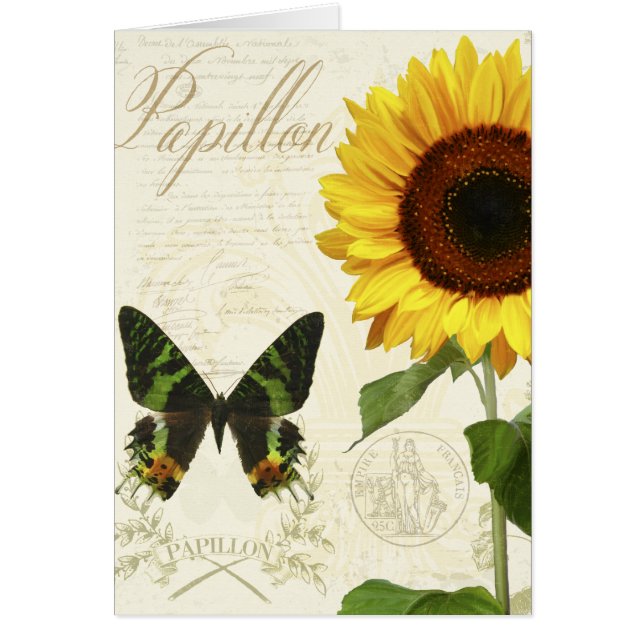 NaturhistoriaSketchbook III Hälsningskort (Framsidan)