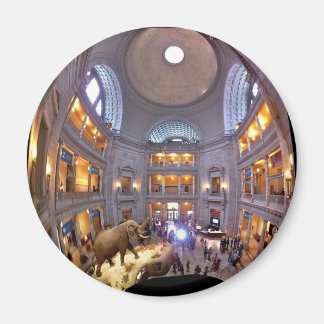 Naturhistoriens museum magnet