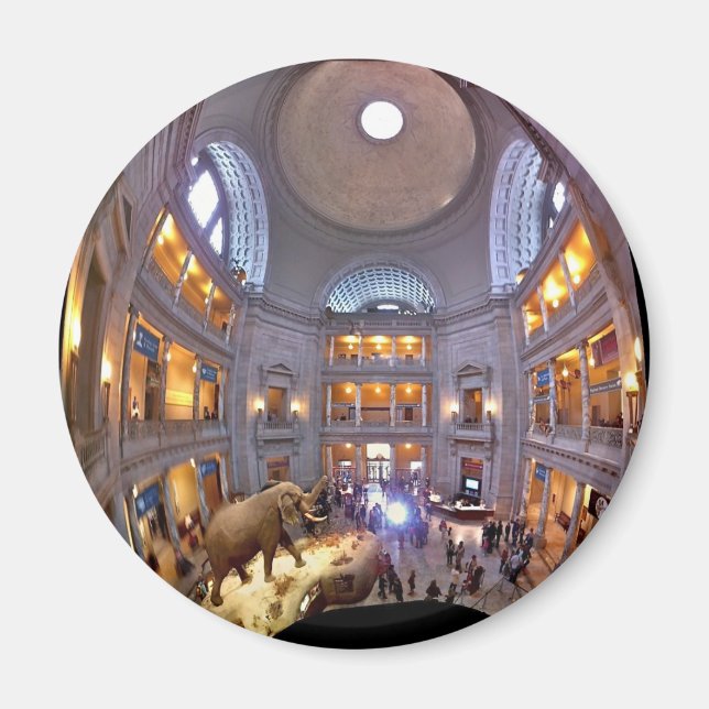 Naturhistoriens museum magnet (Framsidan)