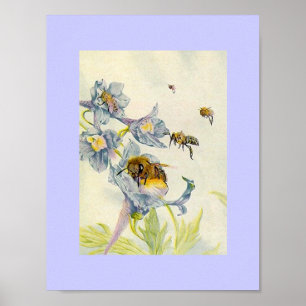 Naturhonungsbin och morgonglasblommor Lilac Poster