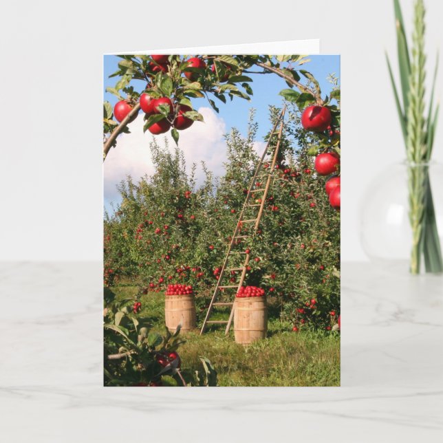 Naturinspiration Apple Orchard Greeting Cards Kort (Framsida)