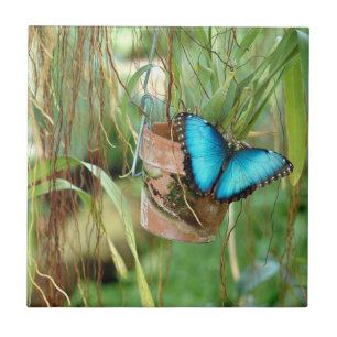 Naturinspiration Bright Blue Butterfly Kakelplatta