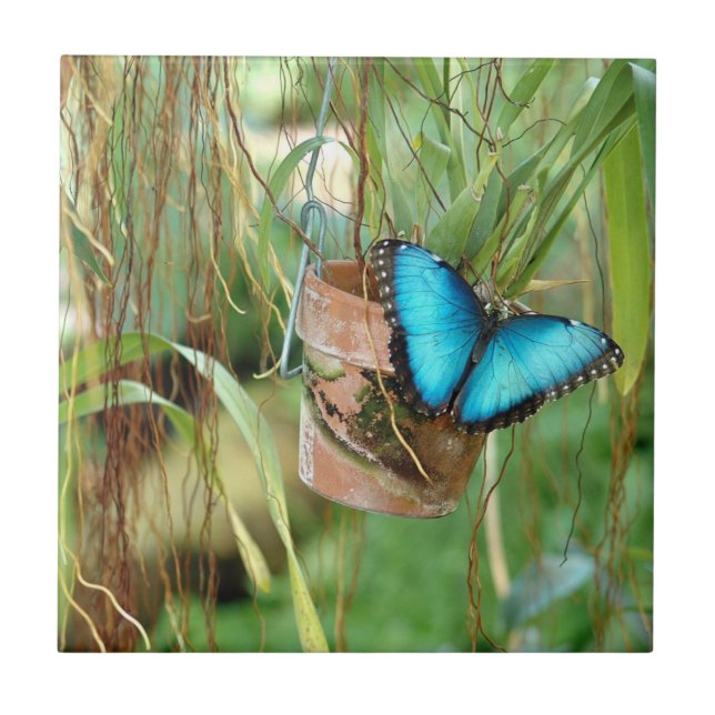 Naturinspiration Bright Blue Butterfly Kakelplatta (Framsidan)