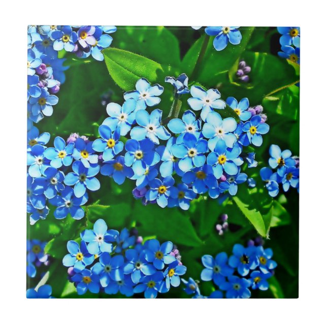 Naturinspiration Bright Blue glömmer mina anteckni Kakelplatta (Framsidan)