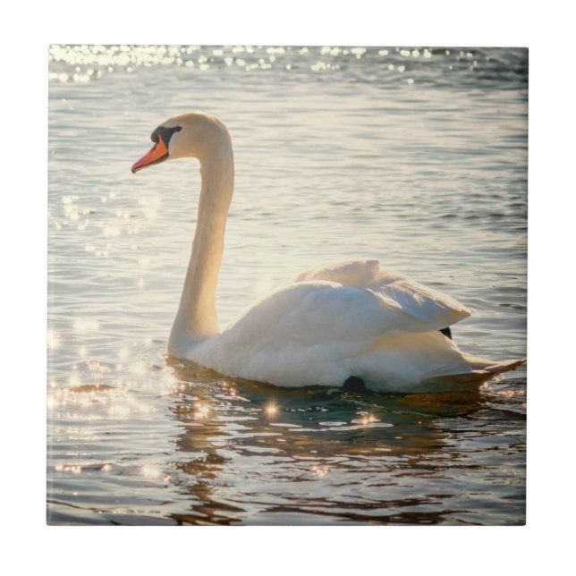 Naturinspiration Elegant Svan Kakelplatta (Framsidan)
