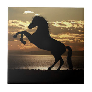 Naturinspiration Horse Silhouette  Kakelplatta
