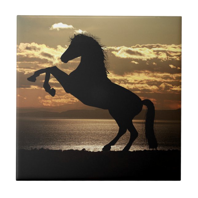 Naturinspiration Horse Silhouette  Kakelplatta (Framsidan)