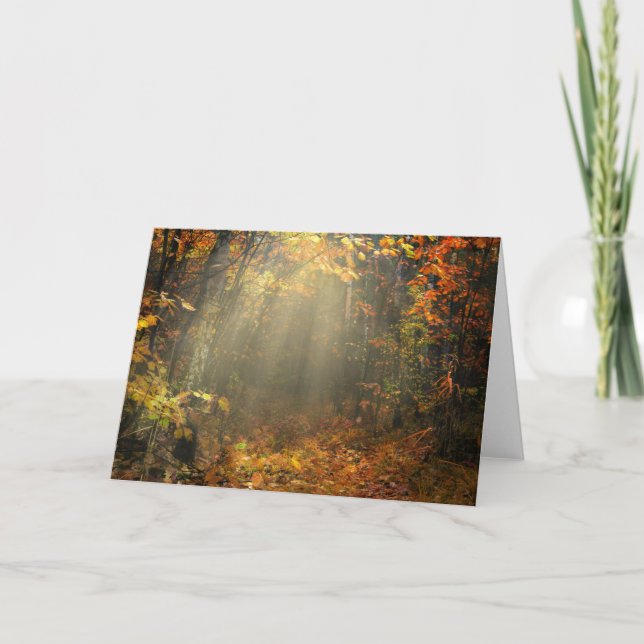 Naturinspiration Sol Drenched Forest Kort (Framsida)