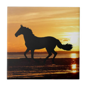 Naturinspirationer Horse Silhouetted in Sunset Kakelplatta
