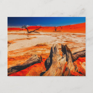Naturinspirationer Namibia, Afrika Vykort