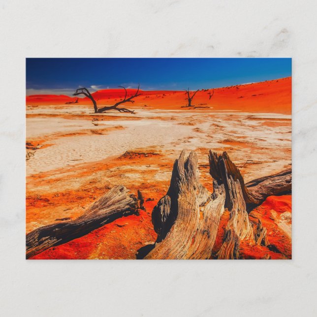 Naturinspirationer Namibia, Afrika Vykort (Framsida)