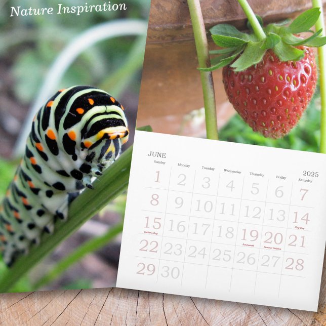 Naturinspirationsfoto Kalender (Nature Inspiration Photo Calendar)