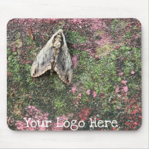 Naturinspirerad film