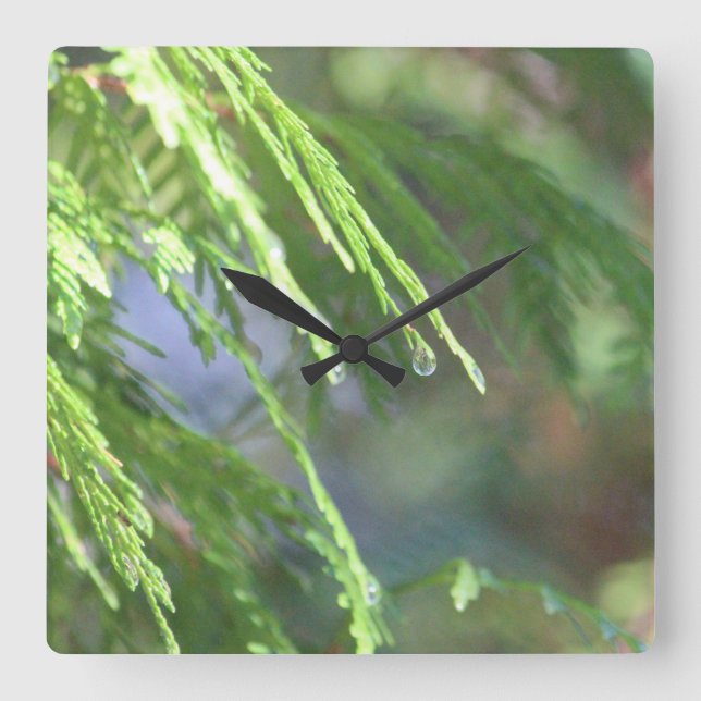 Naturinspirerad Fyrkantig Klocka (Framsida)