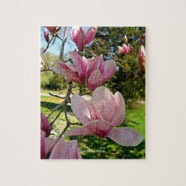 Naturinspirerad Rosa Saucer Magnolia Bloom Pussel