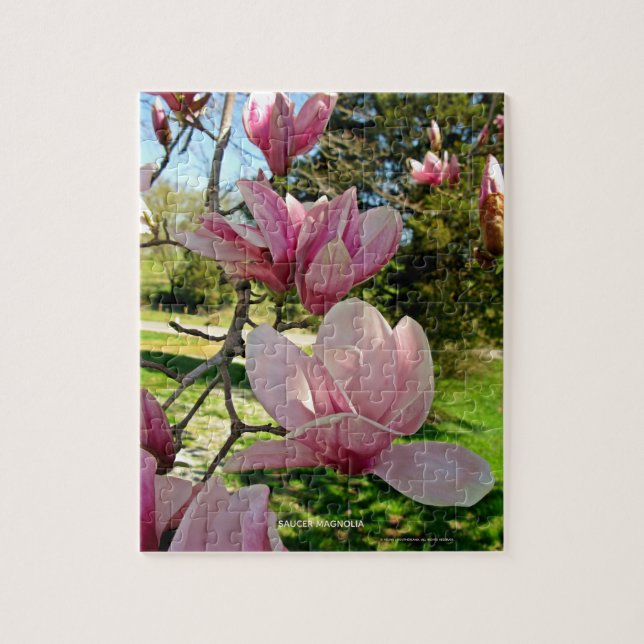 Naturinspirerad Rosa Saucer Magnolia Bloom Pussel (Vertikal)