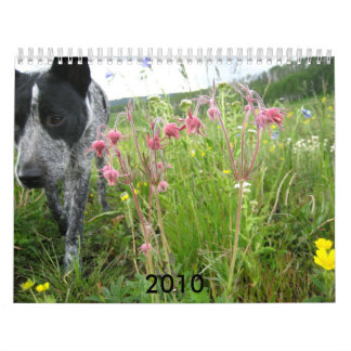 Naturkalender 2010 kalender