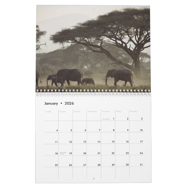 Naturkalender 2012 kalender (Jan 2026)