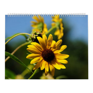 Naturkalender 2014 kalender
