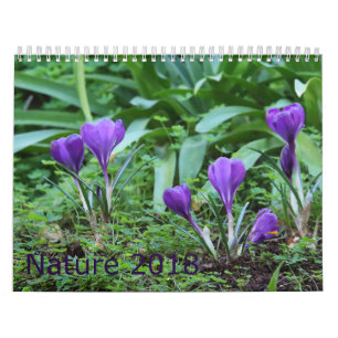 Naturkalender 2018 kalender