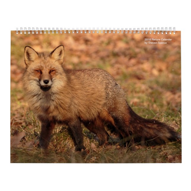 Naturkalender 2018 kalender (Omslag)