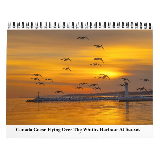 Naturkalender för 2023 kalender (Omslag)