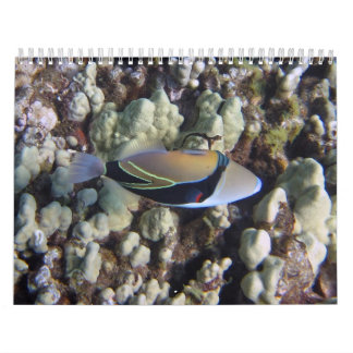 Naturkalender Kalender