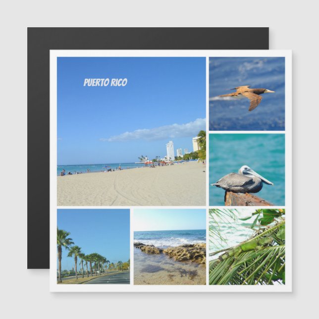 Naturkollage av San Juan, Puerto Rico Magnet (Fram/baksida)
