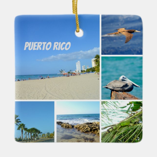 Naturkollage i San Juan, Puerto Rico Julgransprydnad Keramik (Framsida)