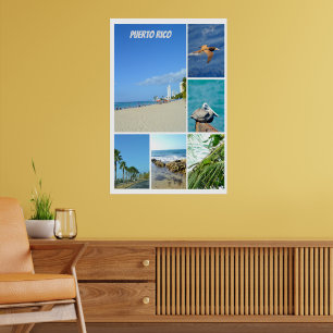 Naturkollage i San Juan, Puerto Rico Poster