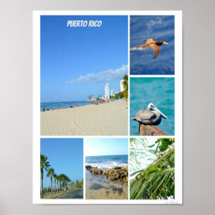 Naturkollage i San Juan, Puerto Rico Poster