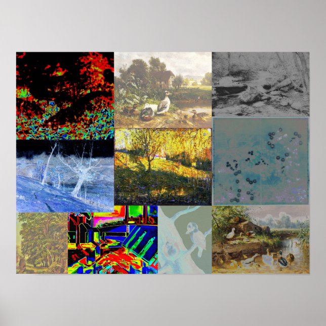 Naturkollage Poster (Framsidan)