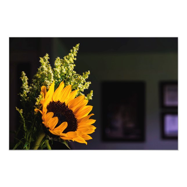 Naturkonst Fototryck (Framsidan)