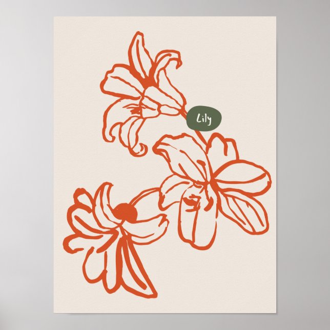 Naturkonst poster samling (Framsidan)