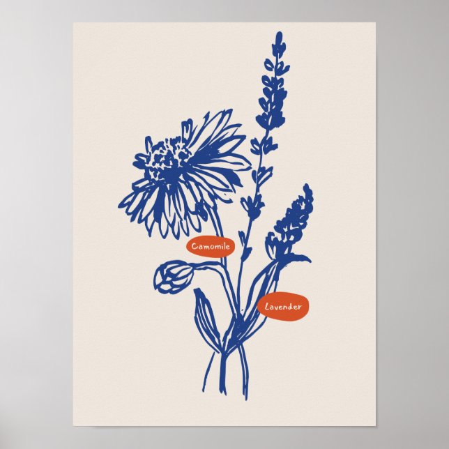 Naturkonst poster samling (Framsidan)