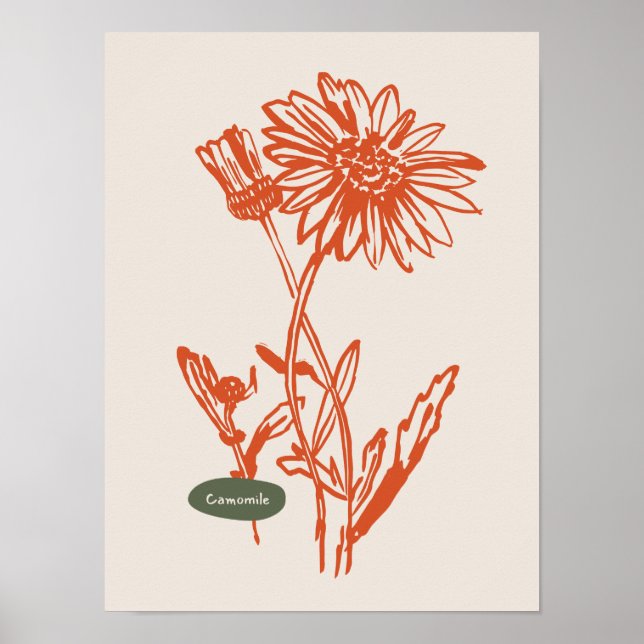 Naturkonst poster samling (Framsidan)