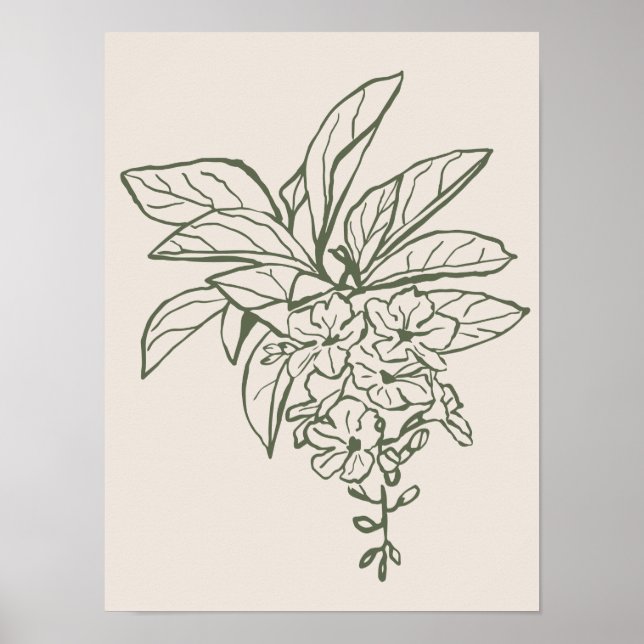 Naturkonst poster samling (Framsidan)