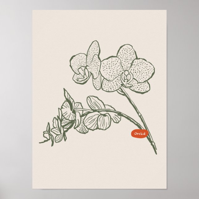 Naturkonst poster samling (Framsidan)