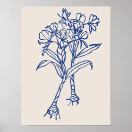 Naturkonst poster samling