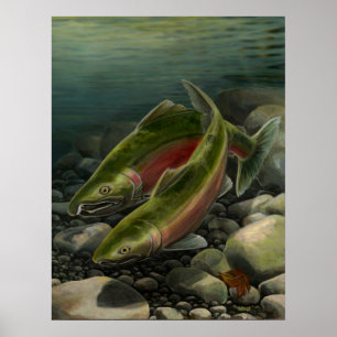 Naturkonst skriver ut Coho Salmon Fishing Art Skri Poster