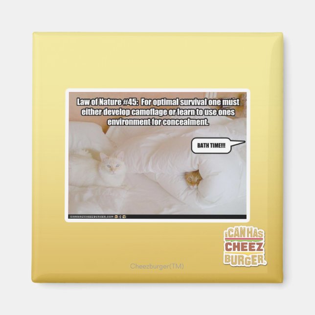 Naturlag nr 45 magnet (Framsidan)