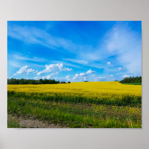 Naturlandskap Canola Fält Rural Belarus Poster
