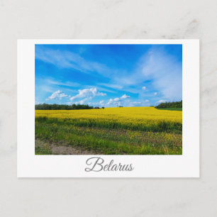 Naturlandskap Canola Fält Rural Belarus Vykort