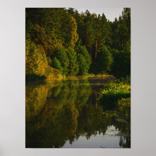 Naturlandskapet Sjö vid kanalen Träd Poster (Framsidan)