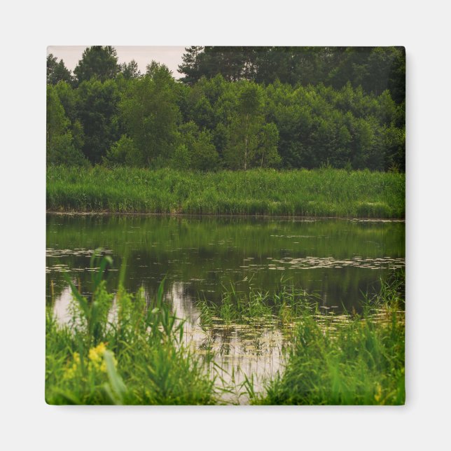 Naturlandskapets skogsdamm magnet (Framsidan)
