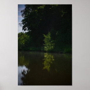 Naturlandskapfloden Vitryssland Träd Poster