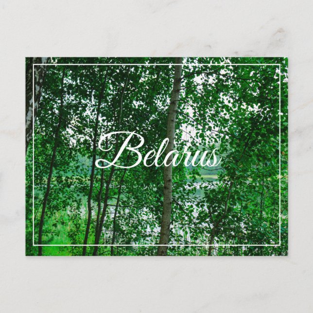 Naturlandskapslandet Biry Belarus Postcard Vykort (Framsida)