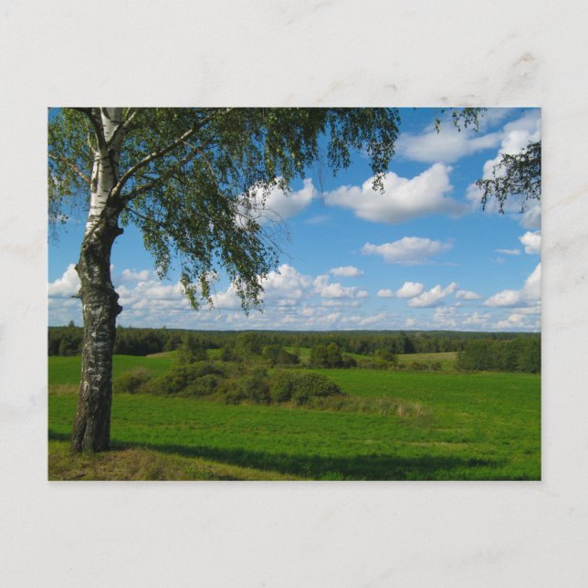 Naturlandskapslandet Biry Belarus Postcard Vykort (Framsida)